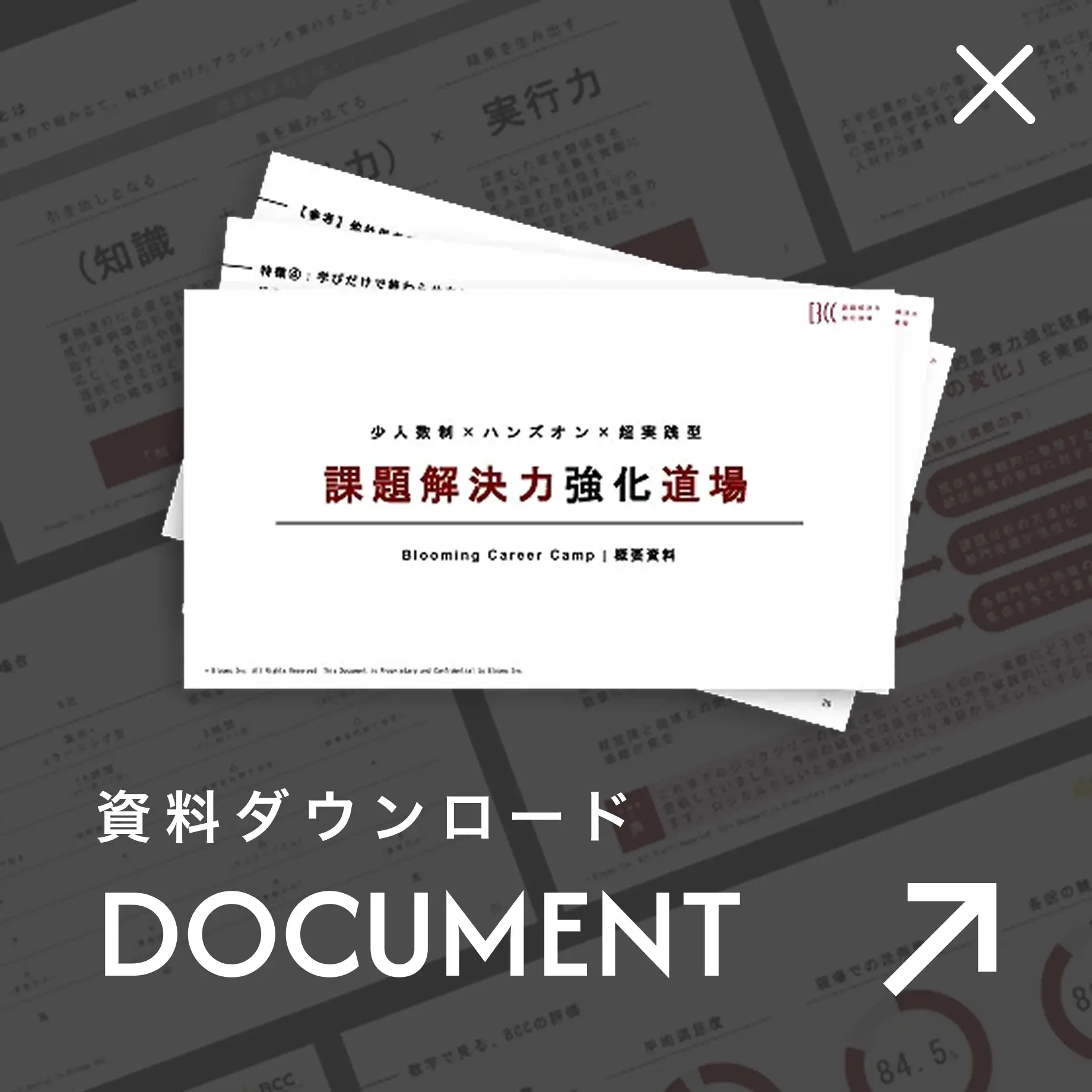資料請求